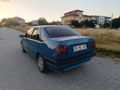 temiz tempra