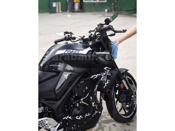 Sahibinden Yamaha MT 25 ABS 