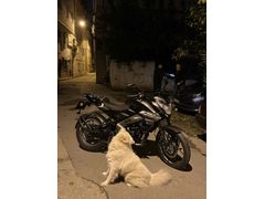 Sahibinden Bajaj Pulsar 125 NS 