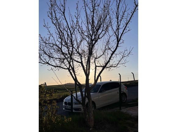Sahibinden BMW 1 Serisi 118i Joy Plus 2017 Model 