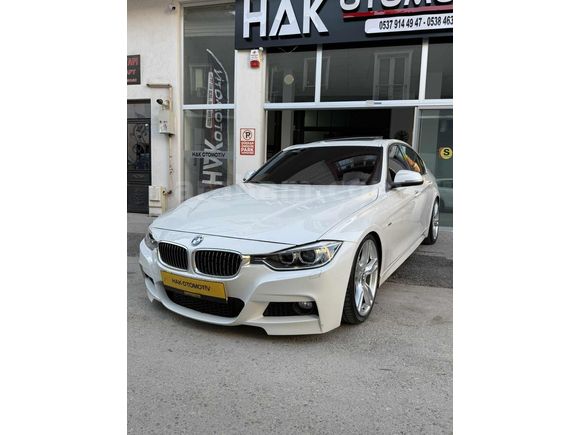HATASIZ AYARINDA F 30