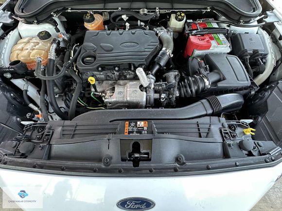 ÇALIŞGANLAR DAN 2019 Ford Focus 1.5 TDCI Trend X