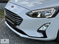 ÇALIŞGANLAR DAN 2019 Ford Focus 1.5 TDCI Trend X