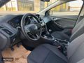 *SÜTCÜ* FARKIYLA EMSALSİZ TEMİZLİKTE FOCUS