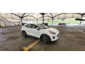 Sahibinden Ford Puma 1.0 EcoBoost Style 2023 Model 