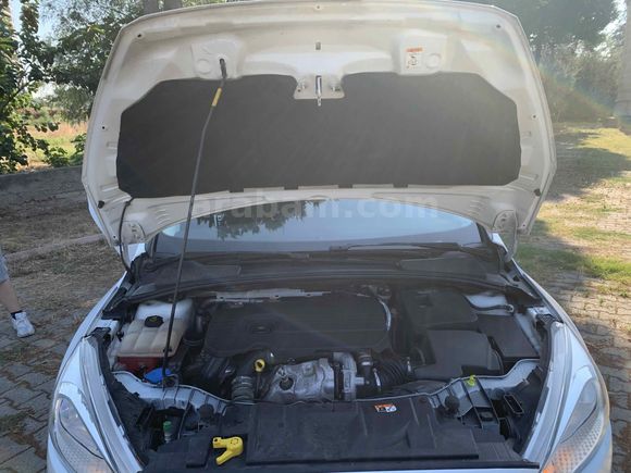 DÜŞÜK KM DE Ford Focus 1.5 TDCi Trend X 2018 Model Adana