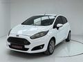 2013 TERTEMİZ 1.25 FİESTA