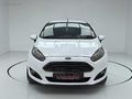2013 TERTEMİZ 1.25 FİESTA