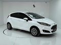 2013 TERTEMİZ 1.25 FİESTA