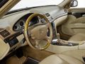 TOLCAR ( MERCEDES BENZ E 220 CDI W 211 )