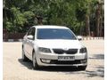 Sahibinden Skoda Octavia 1.6 TDI Optimal 2016 Model