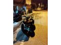 Sahibinden Ramzey ATV 150 OFFROAD