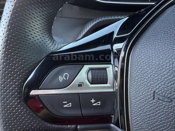 ASCAR DAN_HATASIZ 2024 Model 22.xxx E-208 Gt