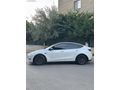 NÜANS AUTO TESLA MODEL Y PERFORMANCE 4WD OTOMOM