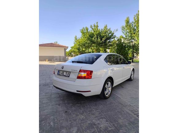 Sahibinden Skoda Octavia 1.6 TDI Optimal 2017 Model 