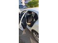 Sahibinden Renault Megane 1.3 TCe Joy 2020 Model