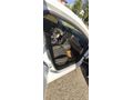 Sahibinden Renault Megane 1.3 TCe Joy 2020 Model