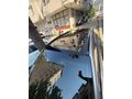 HATASIZ_BOYASIZ_131.**KM_ELİTE PLUS CAM TAVAN TUCSON