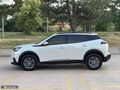 2021 HATASIZ BOYASIZ PEUGEOT 2008 1.2 PURETECH ACTİVE OTOMATİK
