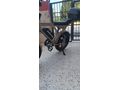 Sahibinden Ape Ryder Lotus