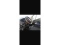  AÇIL SATILK 
Sahibinden Ford Trucks Transit 350 M Çift Kabin 