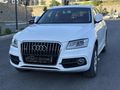 HATASIZ BOYASIZ AUDİ Q5 2.0 TDI QUATRO