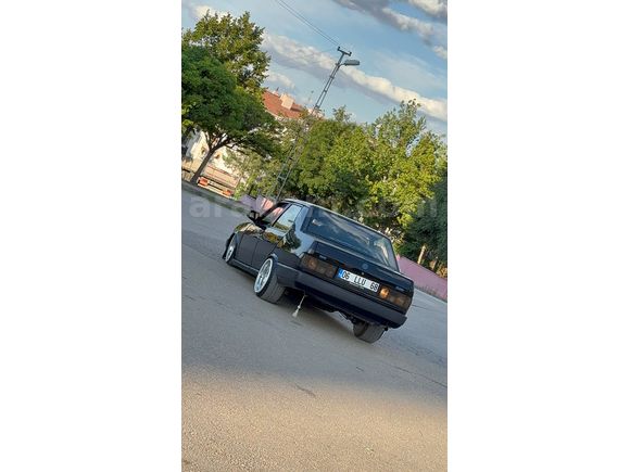 Kurulu düzen yapılı şahin