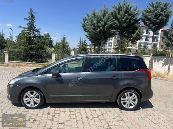 EMSALSİZ 5008