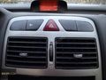 DEĞİŞENSİZ SUNROOFLU XT PREMİUM 307