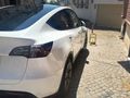 Sahibinden Tesla Model Y Standart (Legacy) 2025 Model 