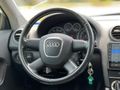 2010 Audi A3 sportback | Cam Tavan | Xenon | Temiz