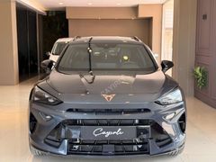 ÇAYIRLI'DAN HATASIZ DÜŞÜK HYBRİD PHEV SUPREME CUPRA