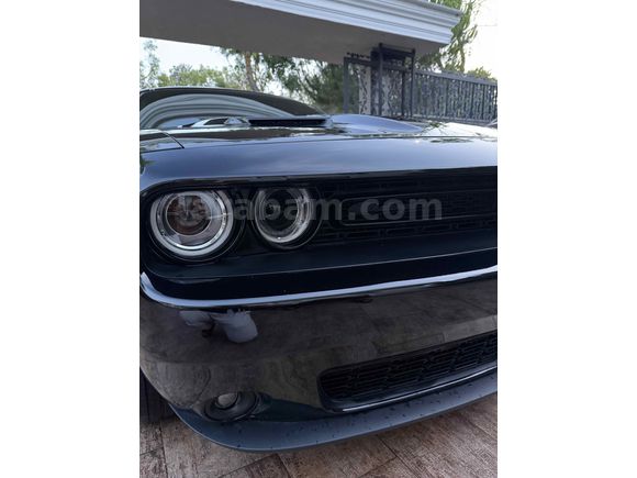 Sahibinden Dodge Challenger SXT Plus 2023 Model 