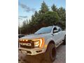 Sahibinden Ford Ranger 2.0 EcoBlue 4x4 XLT 2021 Model