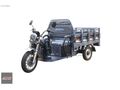 ÖZEN MOTORDAN MONDİAL TIGRAY MAX