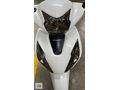 TMS MOTORS'TAN 2024 MODEL HONDA DİO