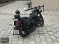 NİLVERA MOTORS'DAN FALCON FREEDOM 277