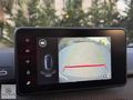 2025 DACİA SANDERO STEPWAY 1.0 TCE EXPRESSİON BOYASIZ 22.000 KM