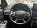 BORZ MOTOR-2025 DACİA SANDERO STEPWAY-HATASIZ-GARANTİLİ-1.0 TCE