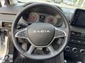 Çayan Tarsus renew Sandero Stepway 1.0 TCE Expression CVT
