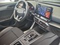 HATASIZ BOYASIZ FULL PAKET SANRUFLU DÜŞÜK KM CUPRA FORMENTOR