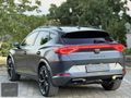 AERO GARAGE'DEN HATASIZ PPF KAPLAMALI FORMENTOR