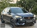 AERO GARAGE'DEN HATASIZ PPF KAPLAMALI FORMENTOR