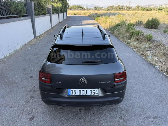 LOKAL BOYA DAHİ YOK CAM TAVANLI OTOMATİK