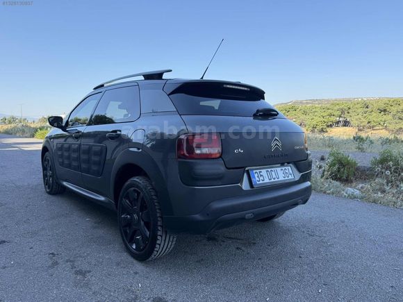 LOKAL BOYA DAHİ YOK CAM TAVANLI OTOMATİK