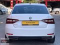 ALPCAN AUTO 'DAN SUPERB 1.6 TDI prestij