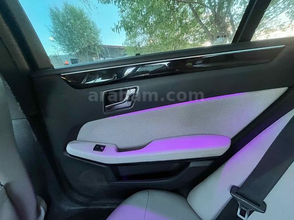 Mercedes - Benz E 250 CDI BlueEFFICIENCY Avantgarde 2011 Model 
