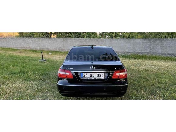 Mercedes - Benz E 250 CDI BlueEFFICIENCY Avantgarde 2011 Model 