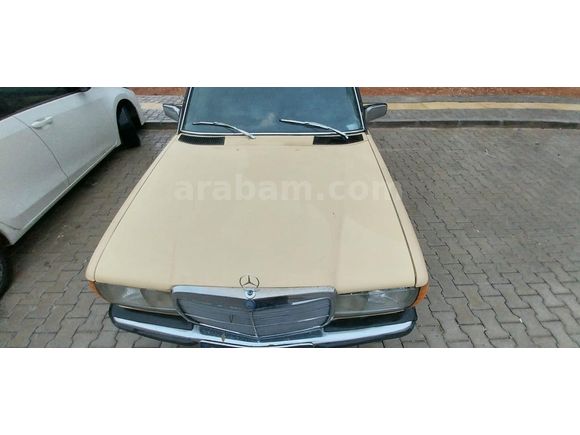 Acil Sahibinden Mercedes - Benz  1977 Model w123