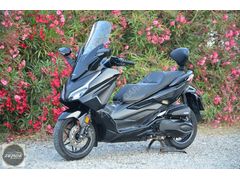 Zerde Garage 2024 Honda Forza 250 ABS TFT Boyasız 12.100Km PPF
